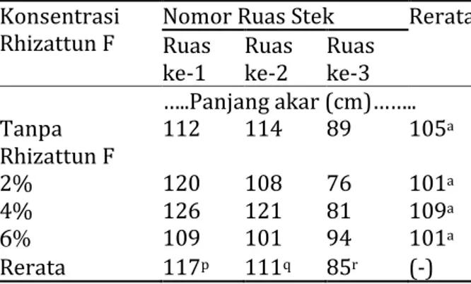 Tabel 7.   Pengaruh nomor ruas stek dan  konsentrasi Rhizattun F terhadap  panjang akar 