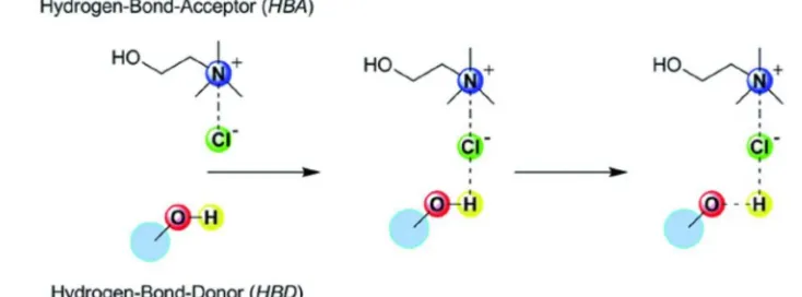 Gambar 2.6 Interaksi antara Hydrogen Bond Acceptor (ChCl) dan Hydrogen bondDonor (R-OH) [32]