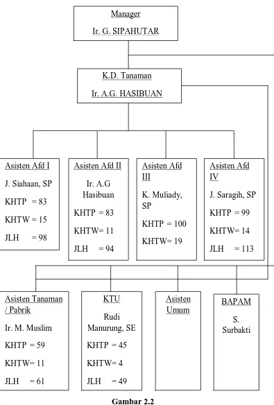 Gambar 2.2 Struktur Organisasi PT. Perkebunan Nusantara II Kebun Basilam 