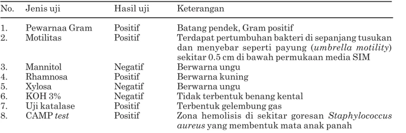 Tabel 2.  Persentase L. monocytogenes pada keju Gouda produksi lokal dan impor                             Hasil pengujian