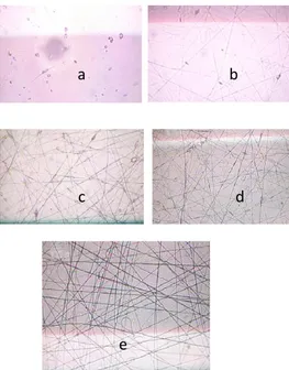 Gambar  4.1  Morfologi  Co-PVDF  nanofiber  komposit  dilihat  dengan  mikroskop  cahaya  pada  variasi konsentrasi (a)