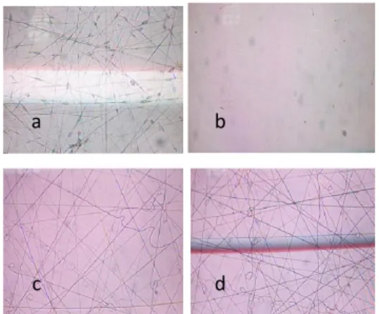 Gambar  4.3  Morfologi  Co-PVDF  nanofiber  komposit  dilihat  dengan  mikroskop  cahaya  pada  variasi  laju  alir  (a)
