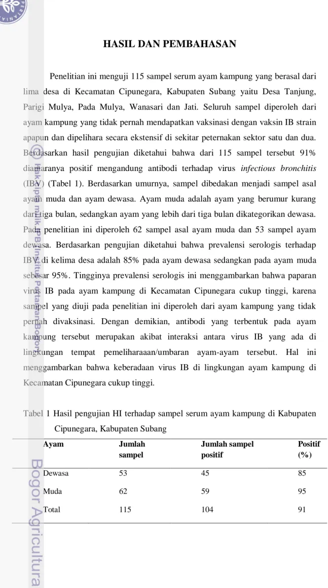 Tabel 1 Hasil pengujian HI terhadap sampel serum ayam kampung di Kabupaten  Cipunegara, Kabupaten Subang 