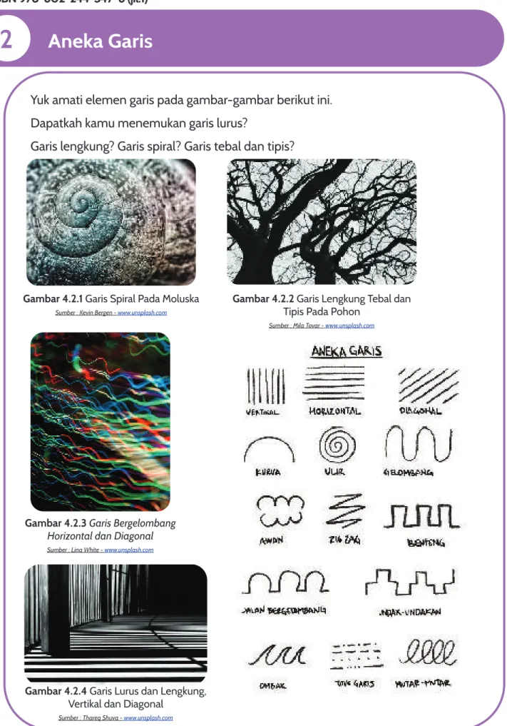 Gambar 4.2.1 Garis Spiral Pada Moluska