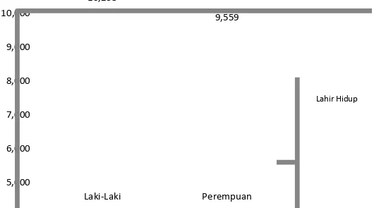 Grafik  3.1  Jumlah kelahiran hidup berdasarkan jenis kelamin         di Kabupaten Magelang Tahun 2012 
