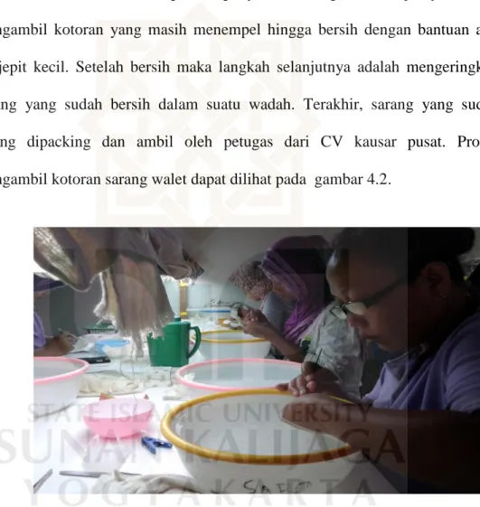 Gambar 4.2 Proses Pekerja CV Kausar Jaya Mengambil Kotoran Pada Sarang Walet