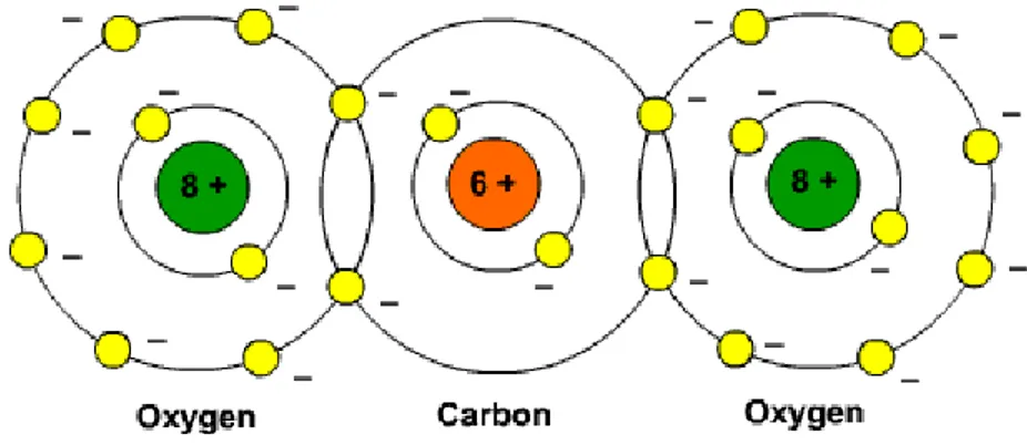 Gambar 5 Ikatan kimia karbon dioksida (sumber Kurtus.R. 2005) 