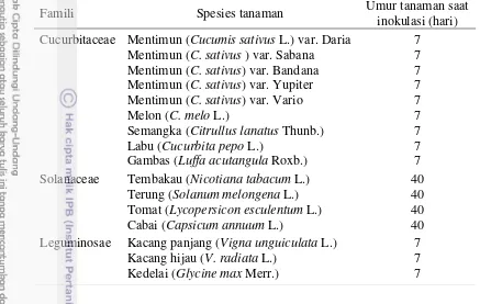 Tabel 1  Famili, spesies tanaman, dan umur tanaman yang digunakan dalam pengujian kisaran inang 