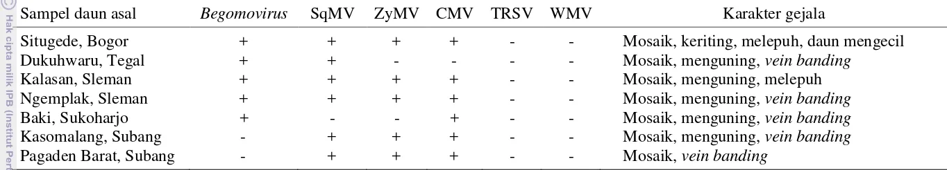 Tabel 2  Hasil deteksi beberapa jenis virus yang menginfeksi tanaman mentimun di Bogor dan Subang (Jawa Barat), Tegal dan Sukoharjo (Jawa Tengah), serta Sleman (Daerah Istimewa Yogyakarta) 