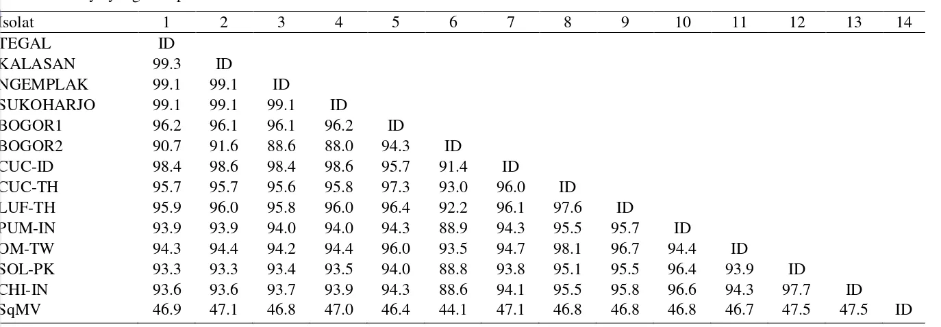 Tabel 6  Tingkat homologi (%) isolat TLCV dari Tegal, Sleman (Kalasan dan Ngemplak), Sukoharjo, serta Bogor dengan isolat TLCV lainnya yang terdapat di GenBank    