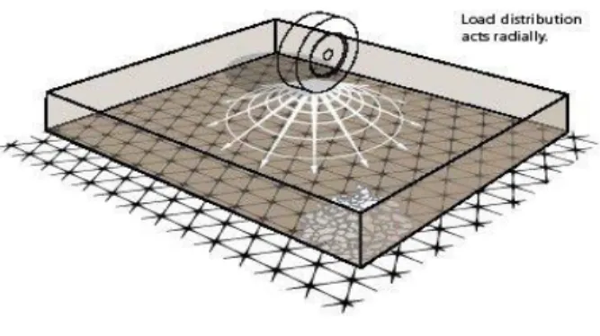 Gambar 2.4 Geogrid Triax 
