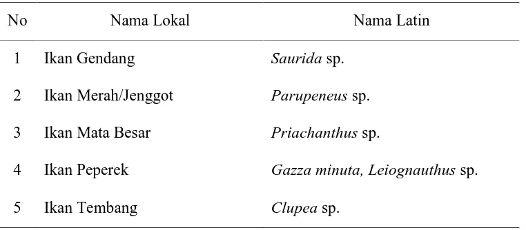 Tabel 2. Jenis-jenis Ikan Rucah yang Diberikan pada Benih 
