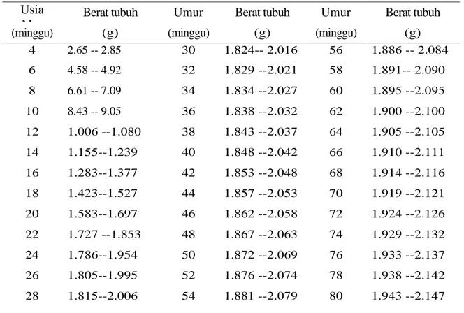 Tabel 2. Berat tubuh rata-rata strain ayam lohman brown 