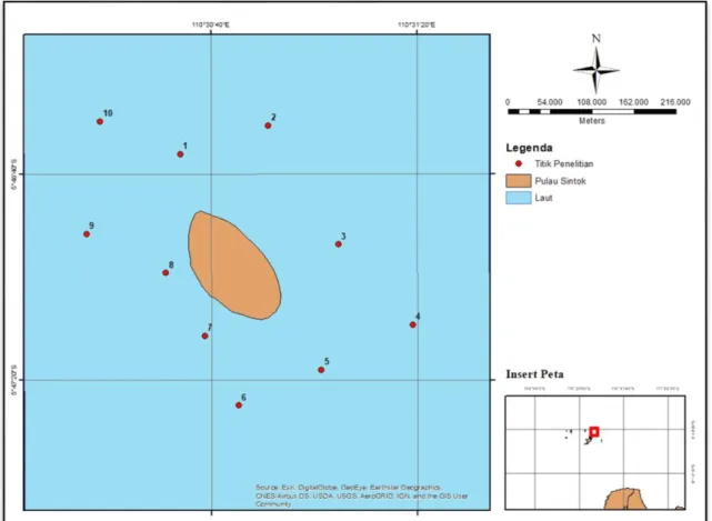 Gambar 1. Peta Titik Lokasi Stasiun Penelitian, Pulau Sintok, Karimunjawa, Jawa Tengah  Metode Pengambilan Data Sampel Klorofil-a 