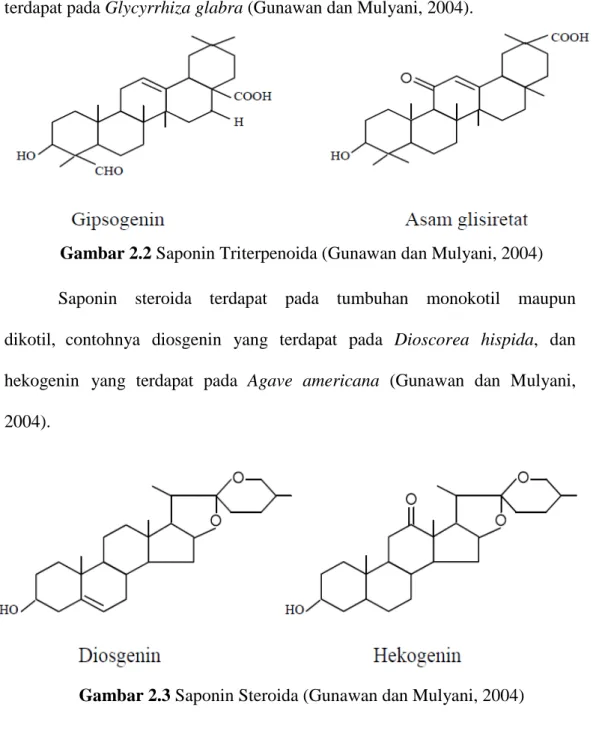Gambar 2.2 Saponin Triterpenoida (Gunawan dan Mulyani, 2004)  Saponin    steroida    terdapat    pada    tumbuhan    monokotil    maupun   dikotil,  contohnya  diosgenin  yang  terdapat  pada  Dioscorea  hispida,  dan  hekogenin  yang terdapat  pada  Agave