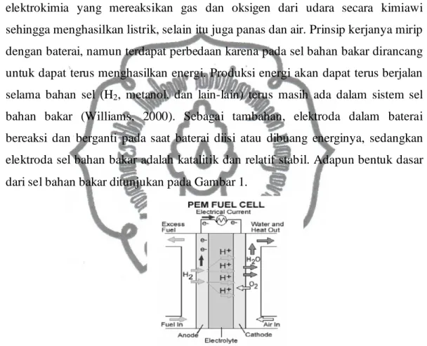 Gambar  1. Skema sel bahan bakar (Jamal dkk., 2007) 