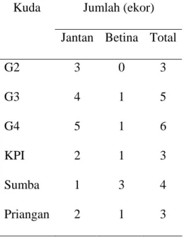 Tabel 2. Jumlah Kuda yang Digunakan dalam Penelitian  Jumlah (ekor) 