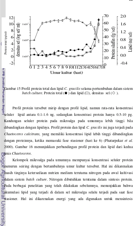 Gambar 15 Profil protein total dan lipid C. gracilis selama pertumbuhan dalam sistem  
