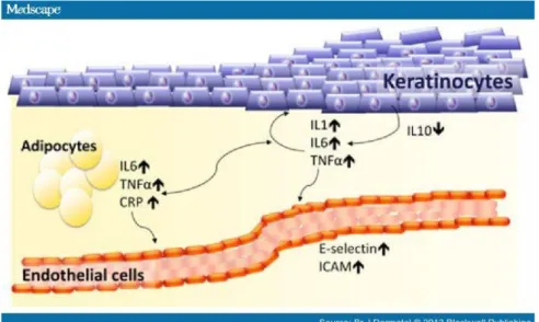 Gambar 2.4 C-reactive protein pada psoriasis  (Dowlatshahi dkk., 2011) 