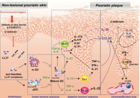 Gambar 2.1 Patogenesis Psoriasis (Monteleone dkk., 2011) 