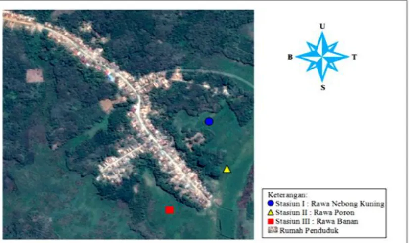 Gambar 1. Lokasi Pengambilan Sampel Zooplankton Desa Sedang Kecamatan Suak Tapeh Kabupaten  Banyuasin  