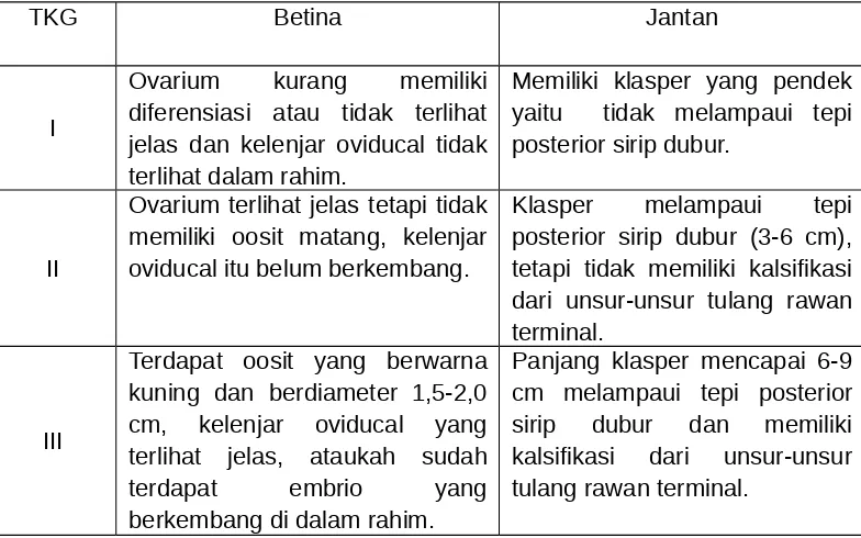 Tabel 2. Tingkat kematangan gonad (TKG) ikan pari (Dasyatis kuhlii  Müller &Henle, 1841) menurut Eber dan Cowley (2009)