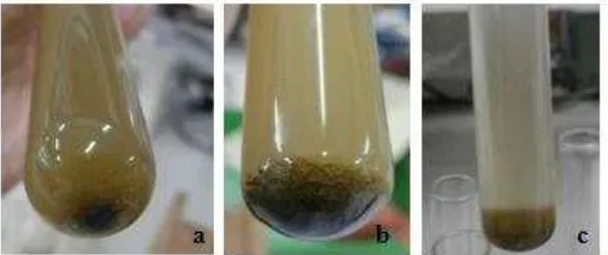 Gambar 8  Mortalitas P. marginatus pada perlakuan formulasi insektisida nabati dan sintetik  dengan sabun dan tanpa sabun pada 72 JSP 