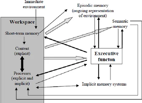 Gambar 2.  Skematik hubungan antara workspace dengan excecutive function (Rains,  2001).