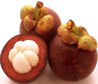 Gambar 7.  Buah manggis (Emilan, 2011) 