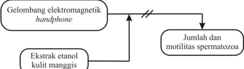 Gambar 9. Kerangka konsep 