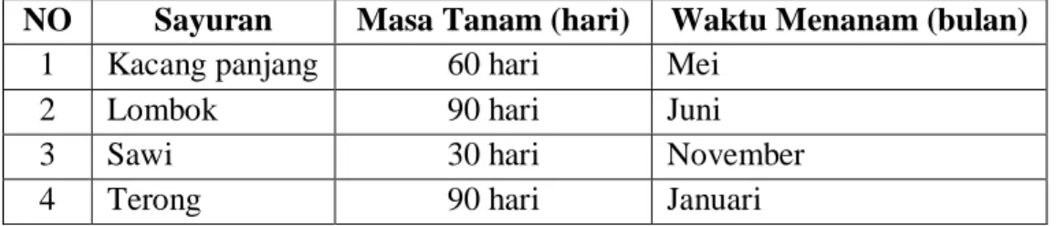 Tabel IV.1 Tabel Masa Tanam dan Waktu Menanam Sayuran yang ada di Kota   Makassar 