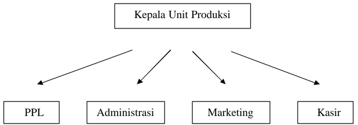 Gambar 4. Struktur Organisasi CV. Janu Putro Cabang Bogor Tahun 2005-2006 