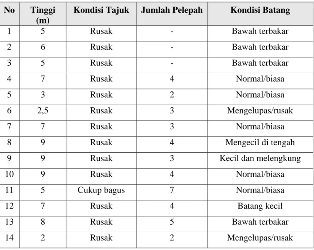 Tabel 1. Pengamatan gebang di Resort Pandean  No  Tinggi 