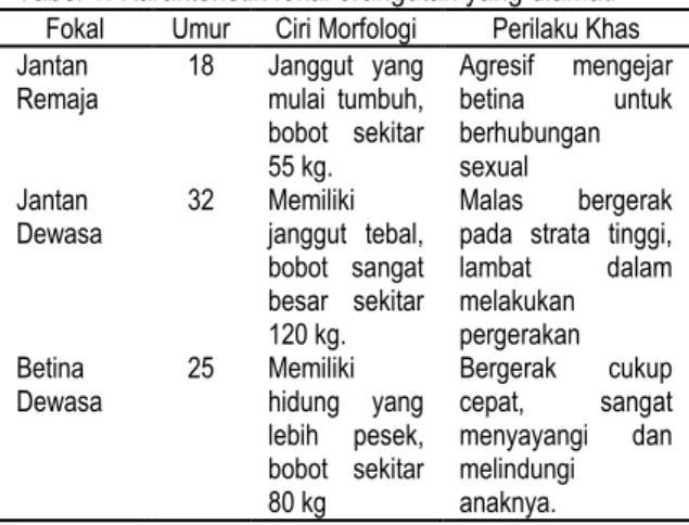 Tabel 1. Karakteristik fokal orangutan yang diamati  Fokal  Umur  Ciri Morfologi  Perilaku Khas  Jantan 