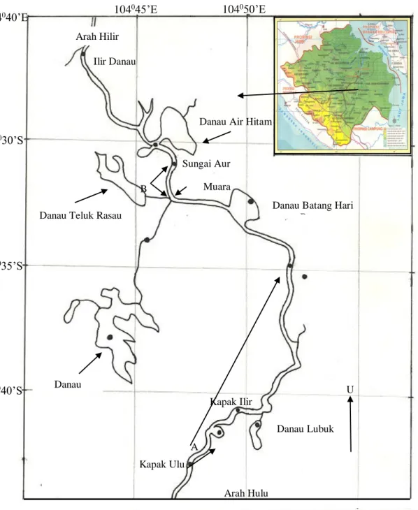 Gambar  1.  Peta  arah  ruaya  ikan  bertanda  di  Sungai  Lempuing,  Sumatera  Selatan