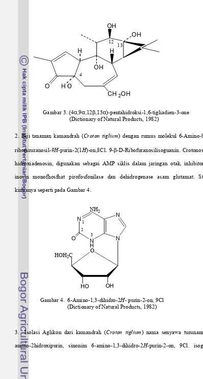 Gambar 3. (4α,9α,12β,13α)-pentahidroksi-1,6-tigliadien-3-one                                       (Dictionary of Natural Products, 1982) 
