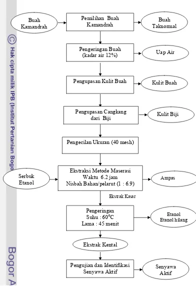 Gambar 14. Diagram Alir Proses Ekstraksi Senyawa Aktif Menggunakan Metode Maserasi  
