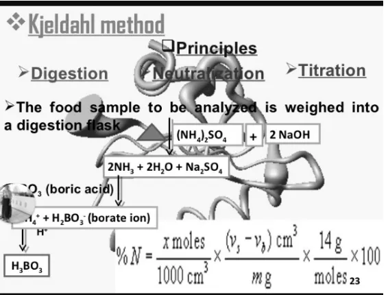 Gambar 1. Siklus Nitrogen PadaTanaman 