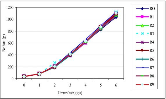 Gambar 1. Pola pertumbuhan itik MA jantan umur enam minggu dengan suplementasi santoquin dan  vitamin E 