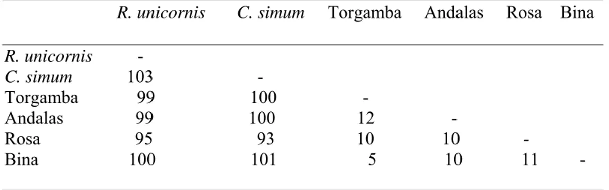 Tabel 4 Perbedaaan susunan basa Nukleotida badak India, badak putih Afrika,                   dari GenBank dan empat  individu badak Sumatera hasil penelitian                ini (n=716)  