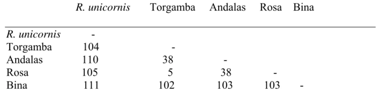 Tabel 6 Perbedaaan susunan basa Nukleotida empat  individu badak Sumatera                            hasil penelitian ini dengan standar nukleotida badak India dari GenBank                                (679 nukleotida)  