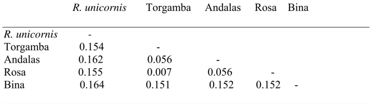 Tabel 8 Jarak genetik berdasarkan metode Pairwis Distance dengan P-distance                               pada empat individu badak Sumatera dengan badak India dan badak putih                Afrika (n = 679)  
