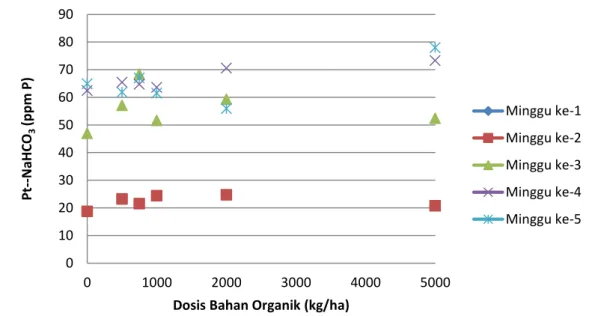 Gambar 8  Pengaruh  Bahan  Organik  terhadap  Rataan  Konsentrasi  ppm  Pt- Pt-NaHCO 301020304050600 1000 2000 3000 4000 5000 6000Pt-NaHCO3 (ppm P)
