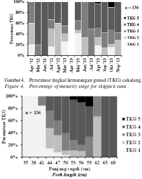 Figure 4.Percentage of maturity stage for skipjack tuna .