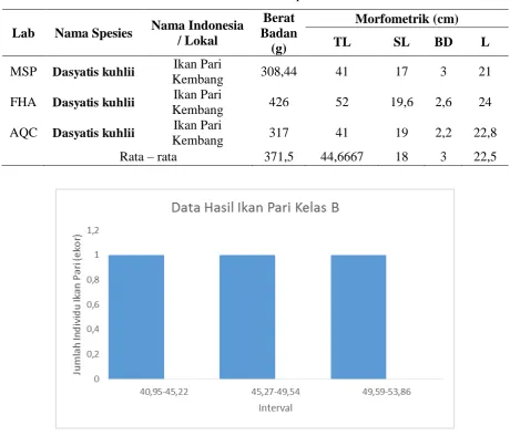 Tabel 1. Morfometrik ikan pari kelas B 