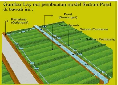 Gambar 1. lay out untuk pembuatan model SDP (SeDrainPond) 