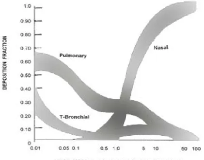 Gambar  2.4 Deposisi Partikel Debu dalam Berbagai Ukuran pada   Sistem Pernapasan (American Lung Association, 2007) 