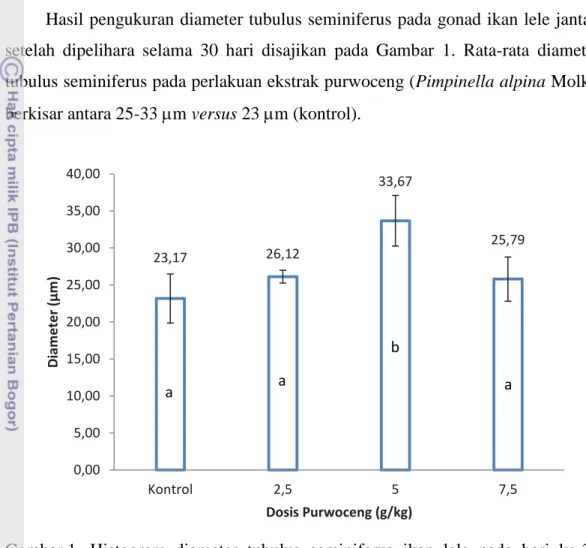 Gambar 1.  Histogram  diameter  tubulus  seminiferus  ikan  lele  pada  hari  ke-30  pasca perlakuan ekstrak purwoceng melalui pakan