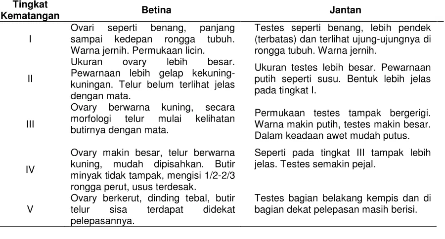 Tabel 1. Tingkat kematangan gonad ikan 