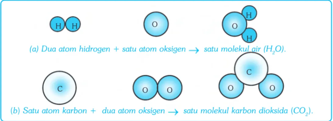 Gambar 10.6  Skema susunan molekul air dan karbondioksida.